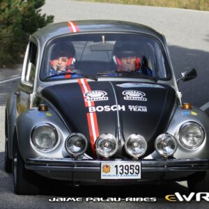 VW Beetle Heated windscreen